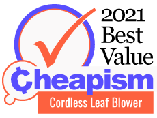 Cheapism Best Value–Cordless Leaf Blower