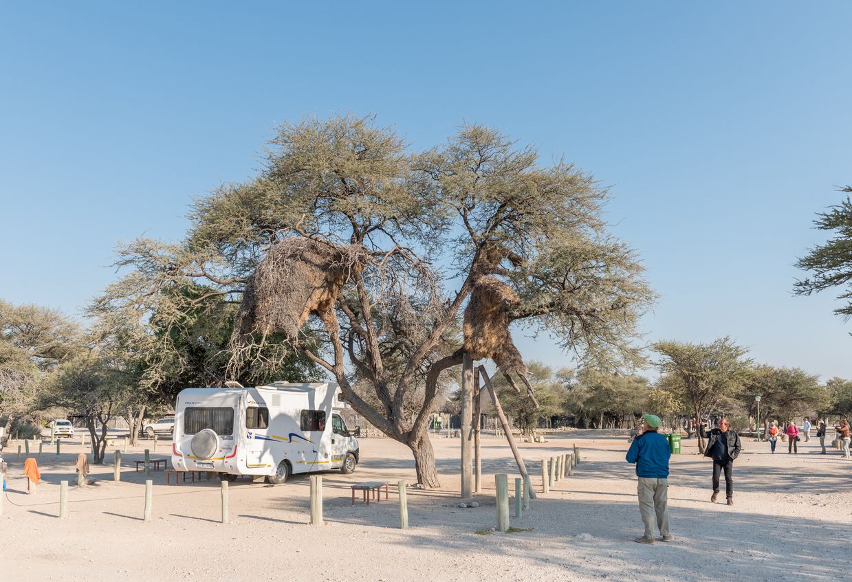 Etosha National Park RV