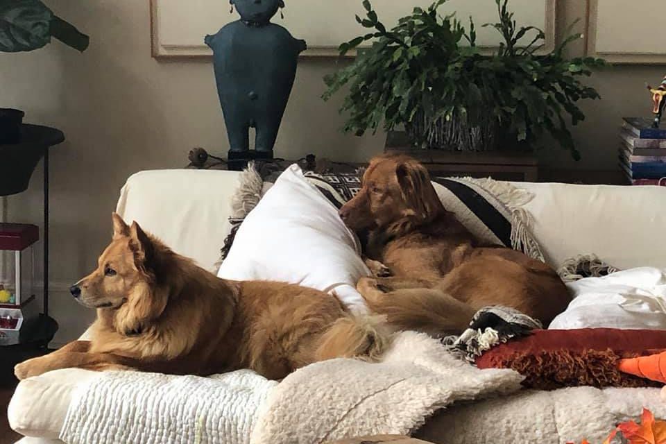Auggie and Gus