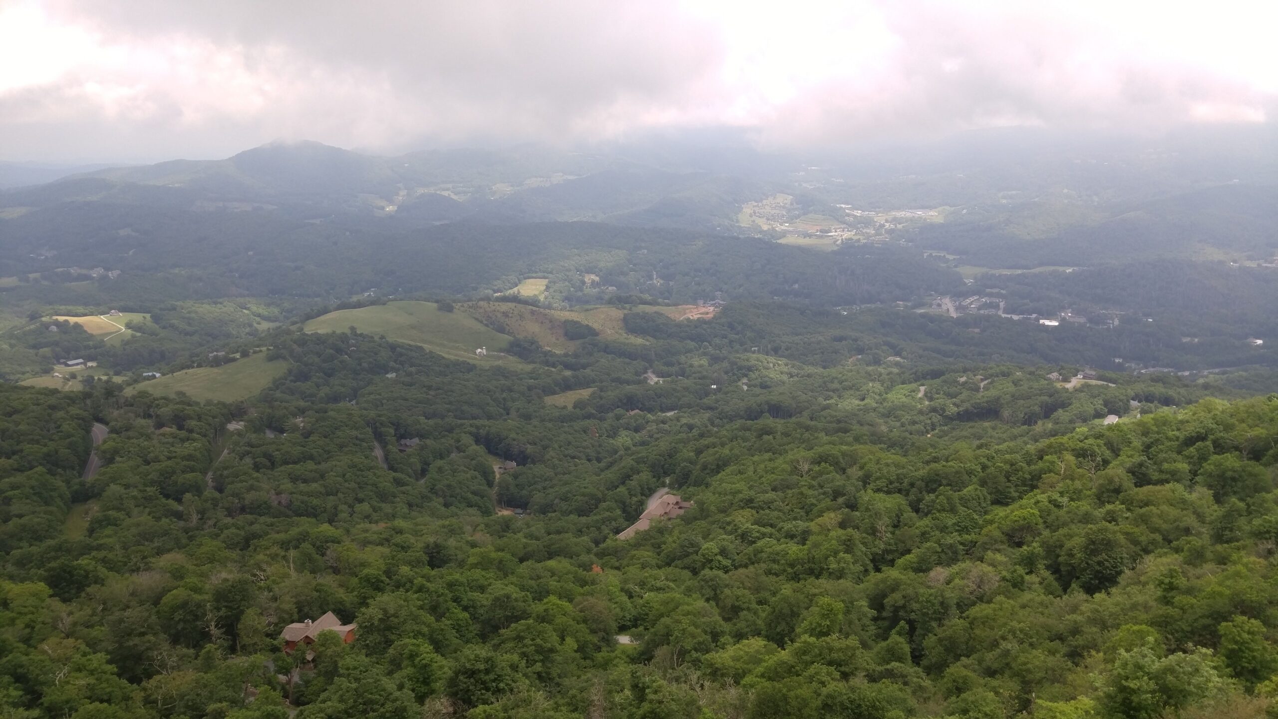 Scenic view of a summer forest on a foggy cloudy day