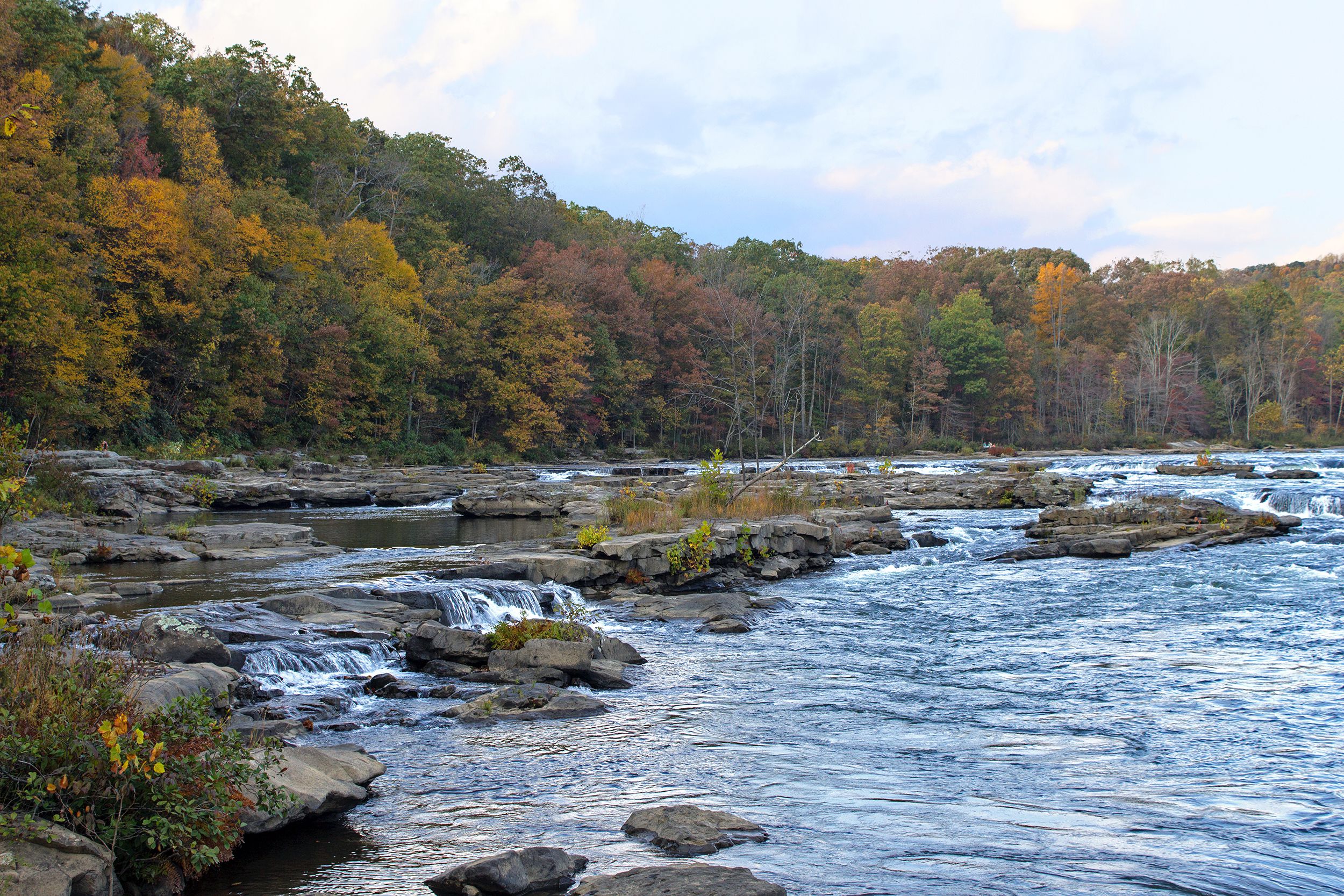 River with autumn foliage