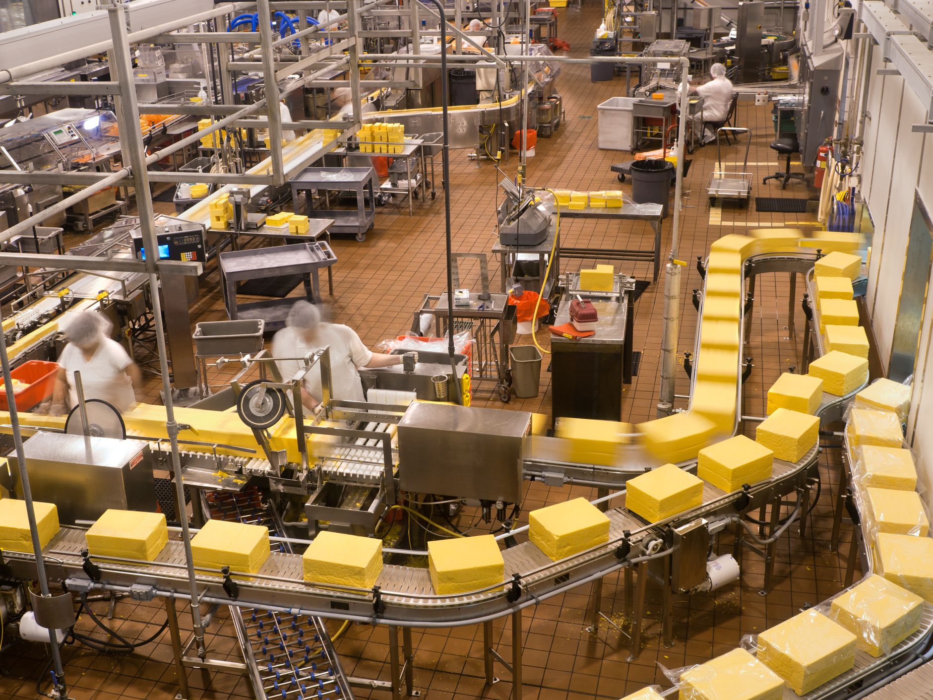 High angle look onto the factory floor of a cheese processing center. People and cheese show motion blur. Image is grainy due to low light requirement in the facility.Click below for my other food factory images: