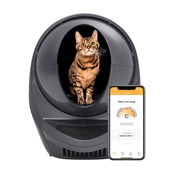Self-cleaning Litter Box