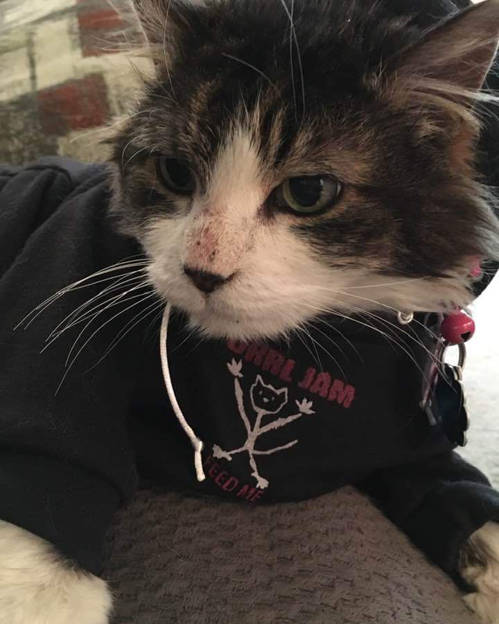 … Or Is It Eddie Vedder Weather?