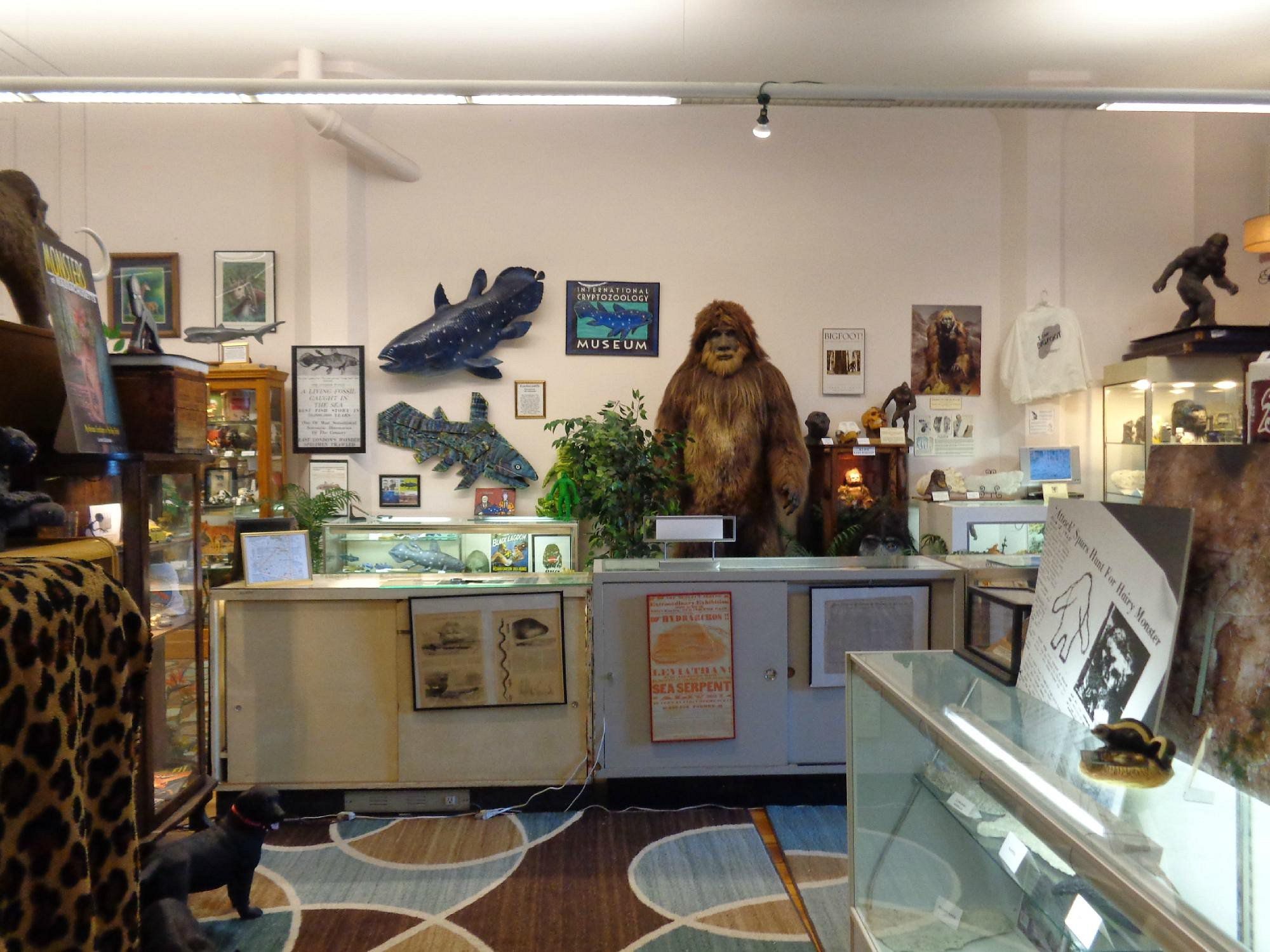 International Cryptozoology Museum Portland, Maine