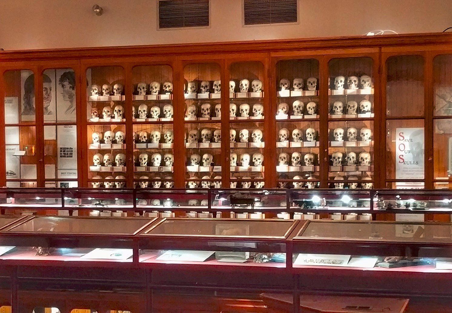 The Mütter Museum Philadelphia