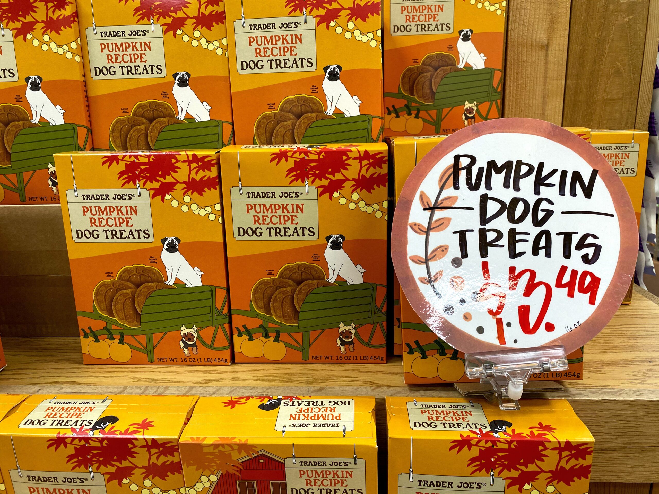 Pumpkin Recipe Dog Treats