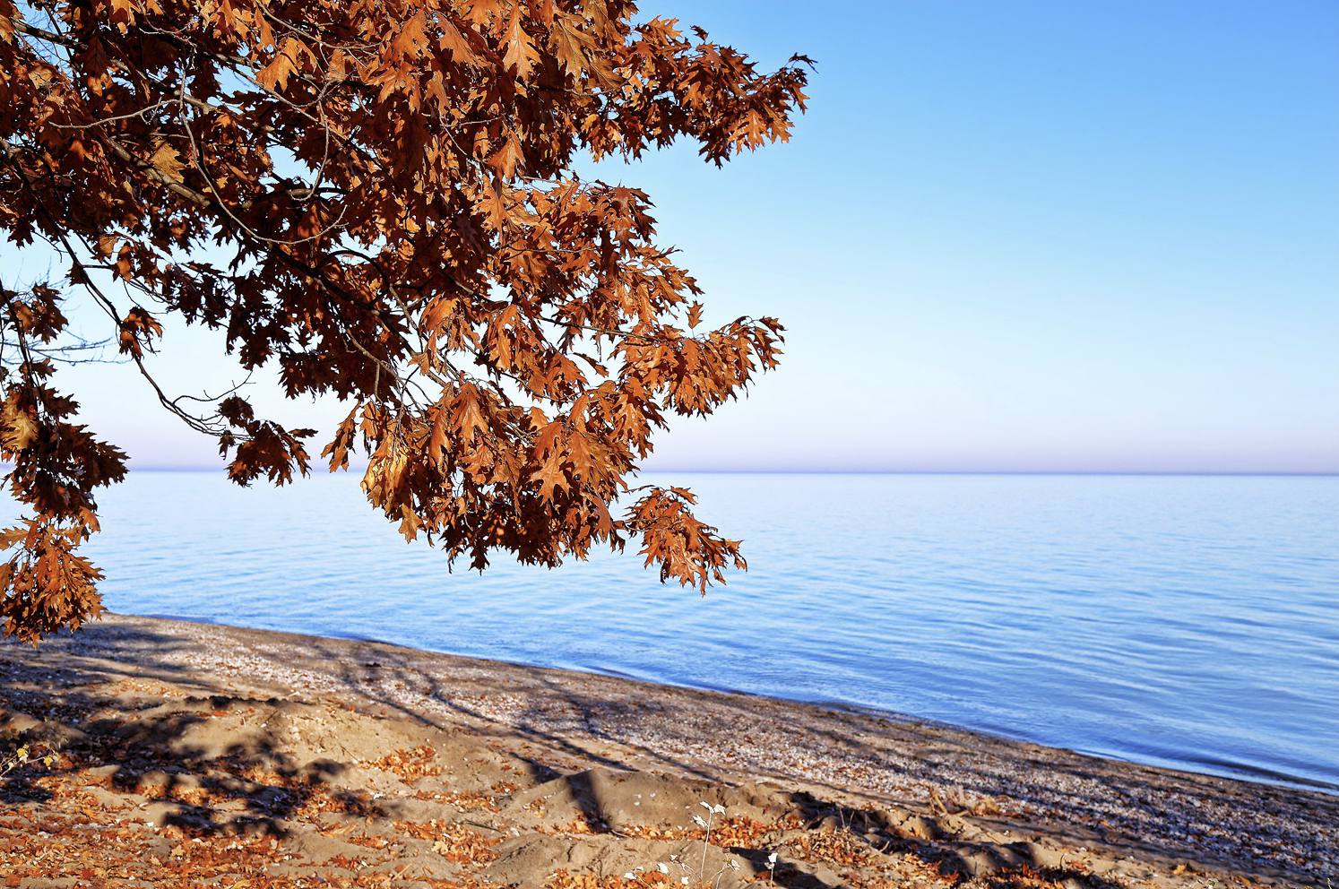 Beautiful Lake Erie