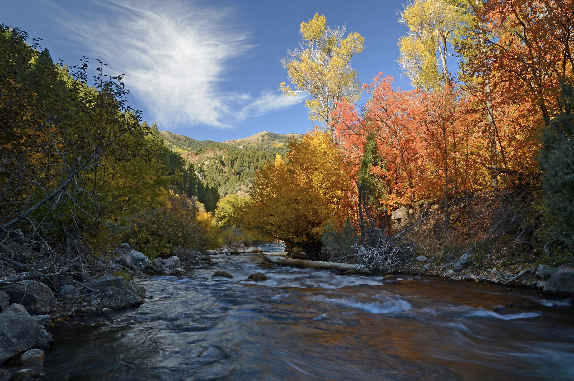 Logan River 472