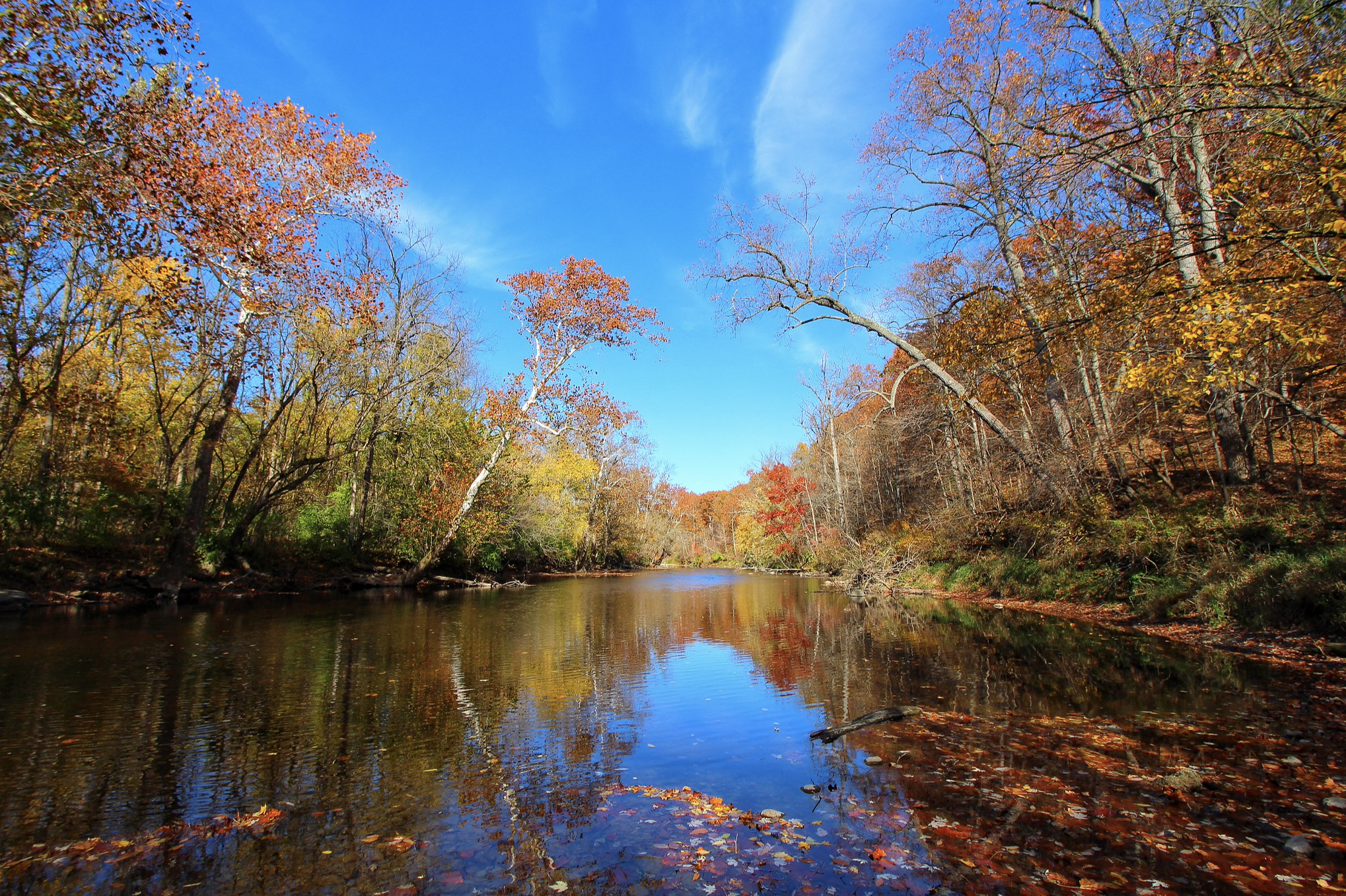 Autumn On The White River