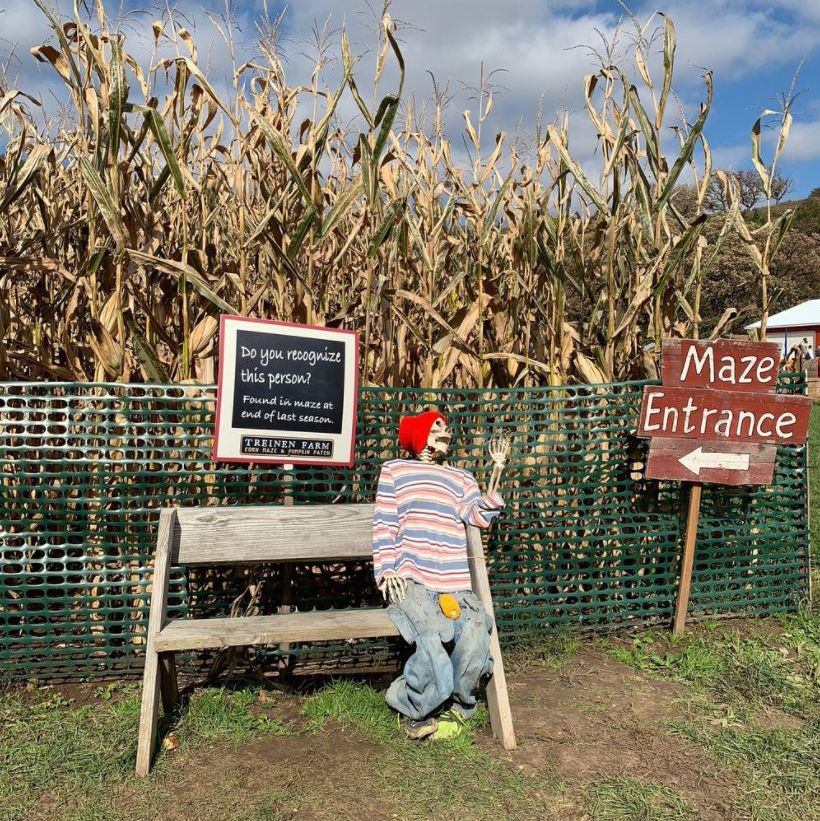 Treinen Farm