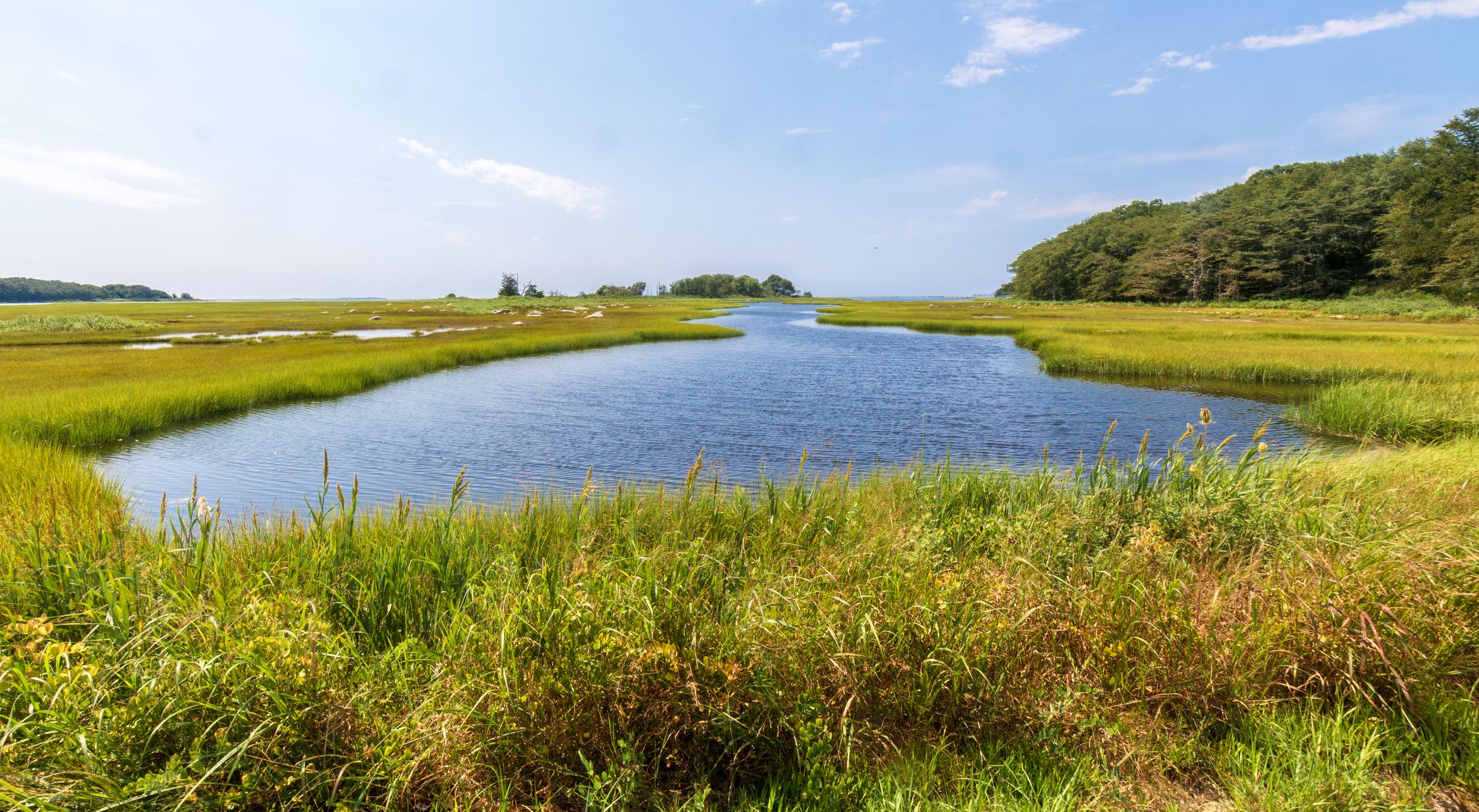 A tidal creek flows through a salt marsh as it heads toward Little Narragansett Bay at the Barn Island Wildlife Management Area in Pawcatuck, Connecticut