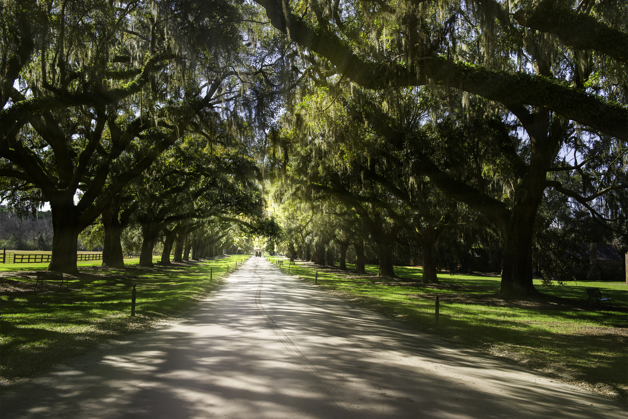 Boone Hall Plantation