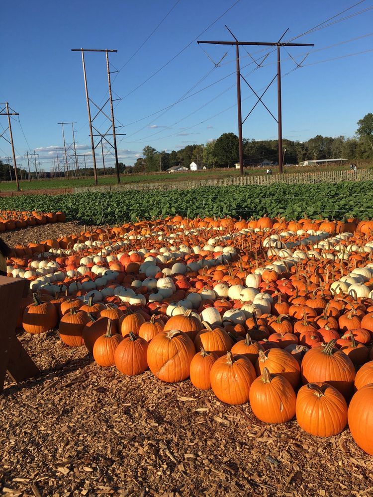 Happy Day Farm Manalapan Township, New Jersey