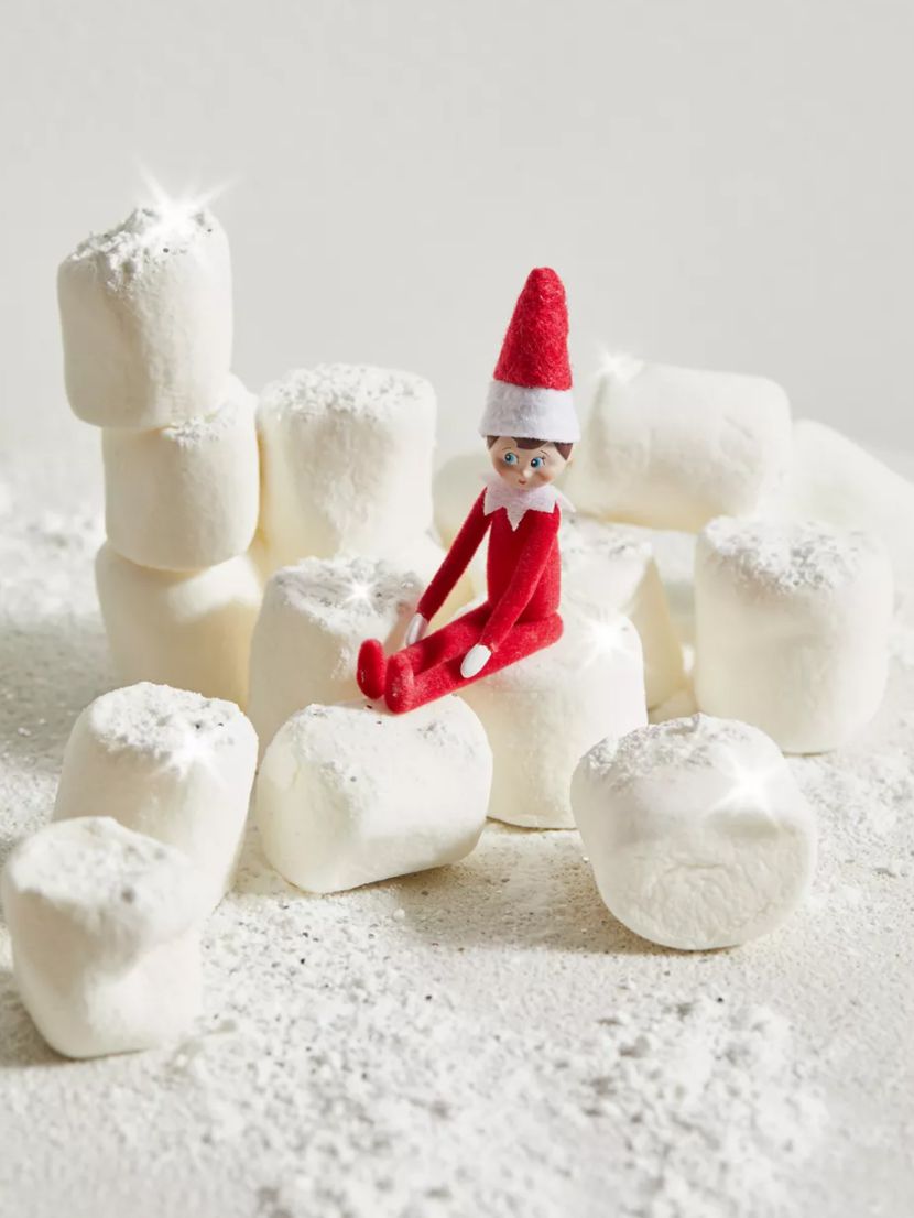 World’s Smallest Elf on the Shelf