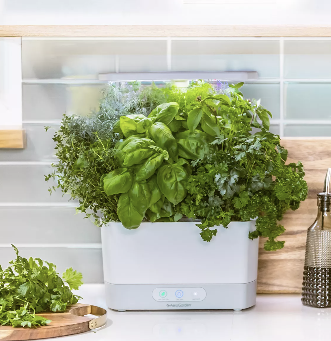AeroGarden Sprout Indoor Garden