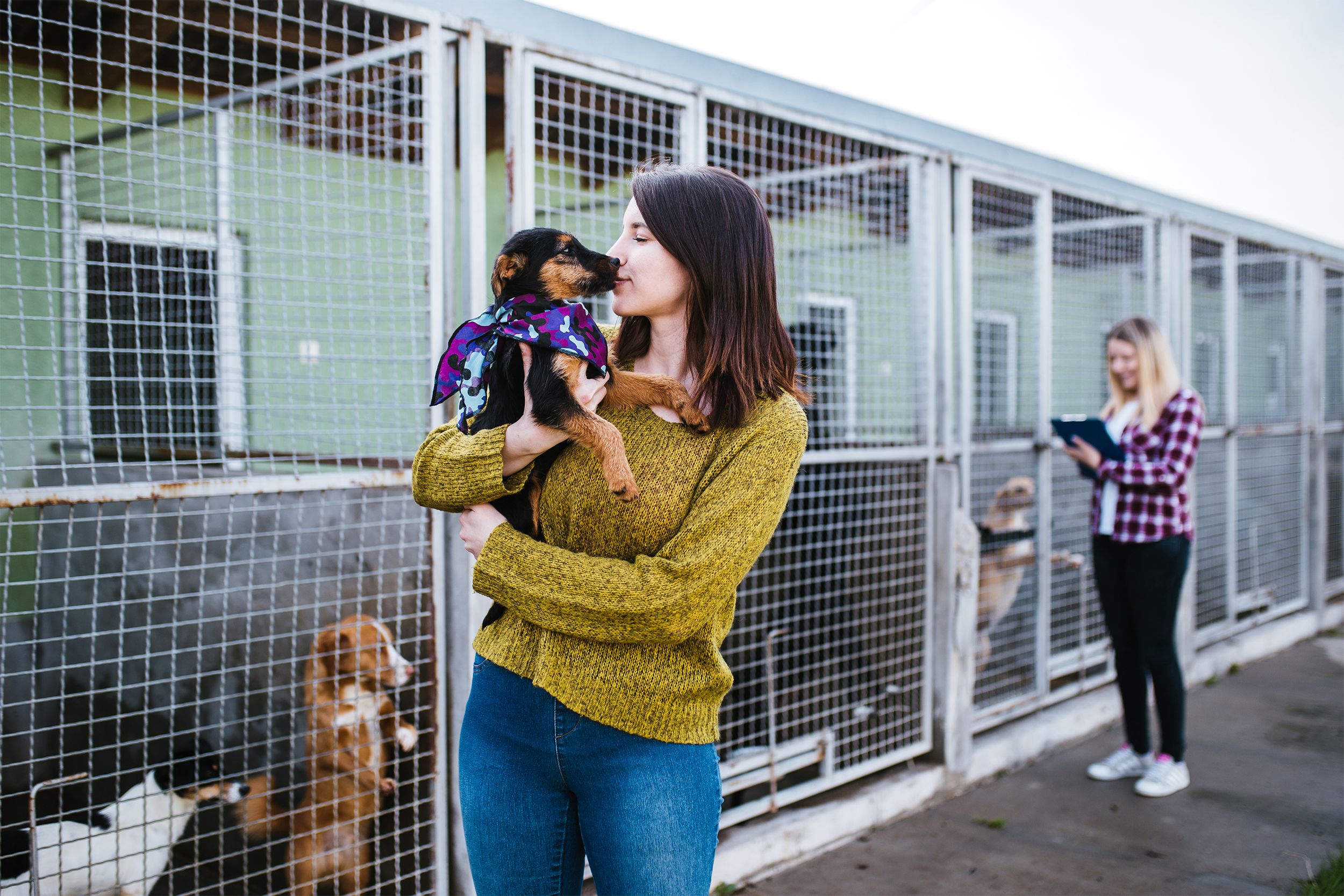 Woman holding dog at an animal shelter