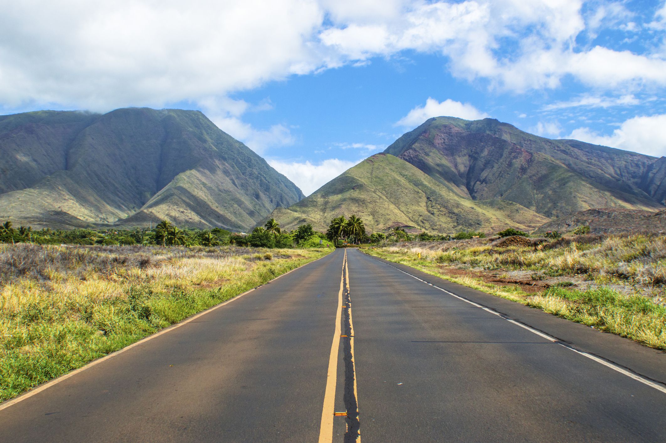 Road in Maui, Hawaii.