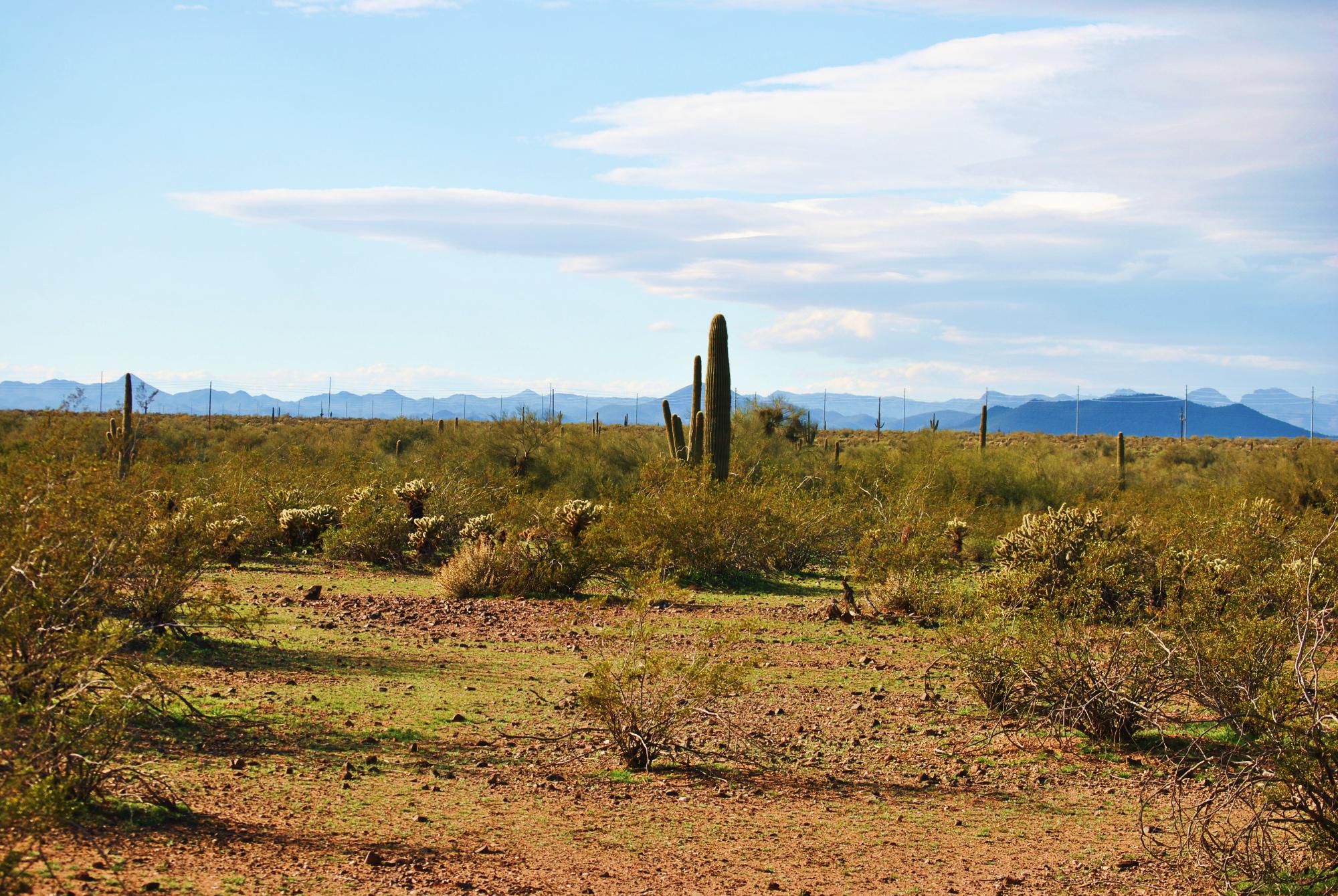 Pioneer RV Resort