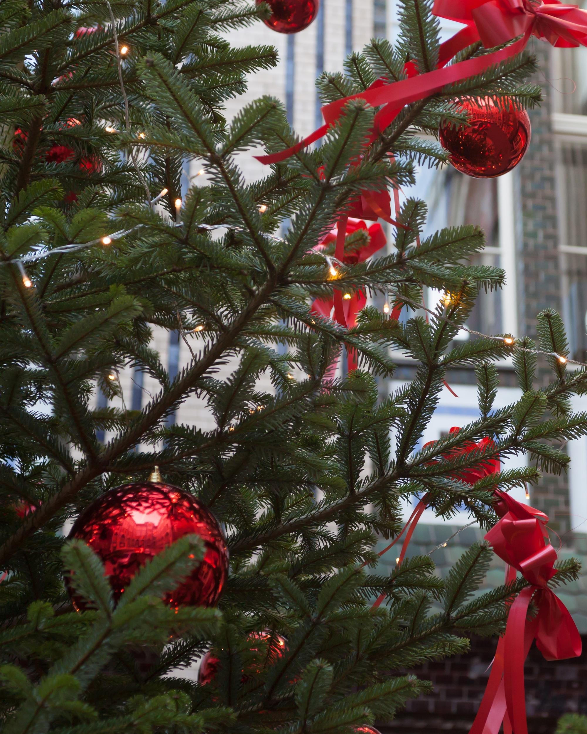 Decorate the Yard