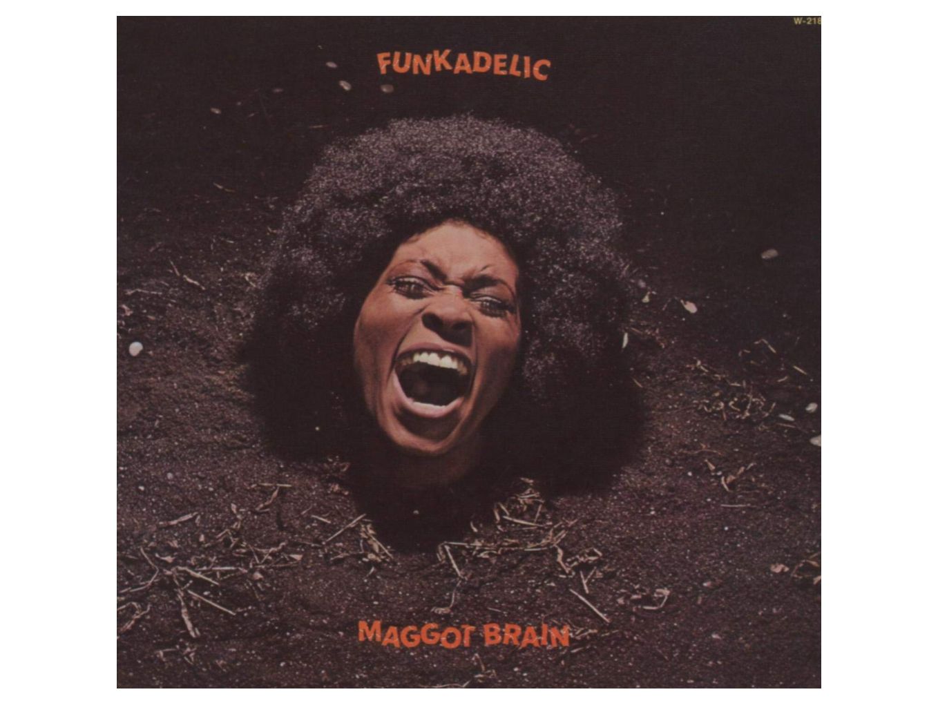 Maggot Brain | Funkadelic