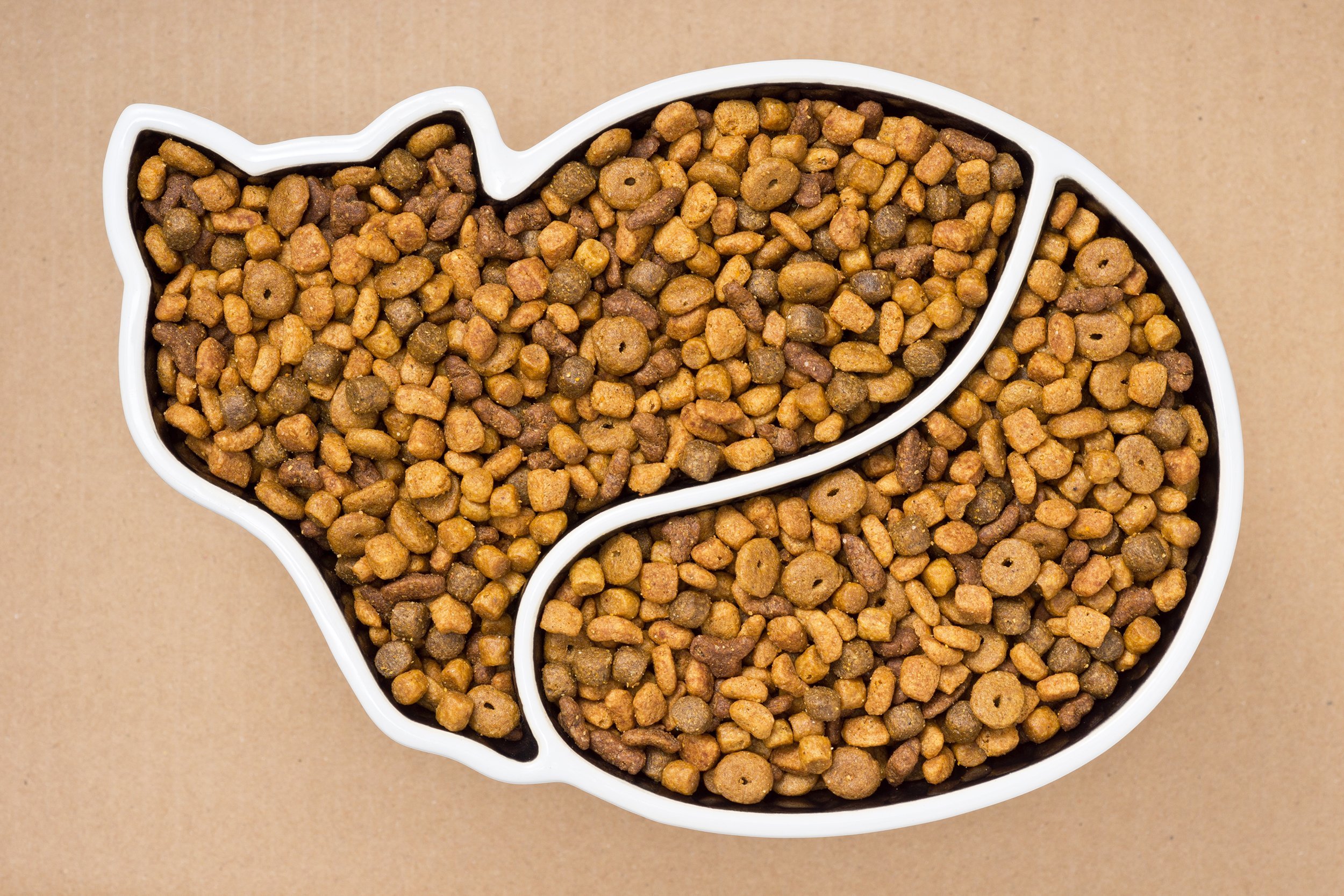 cat food bowl