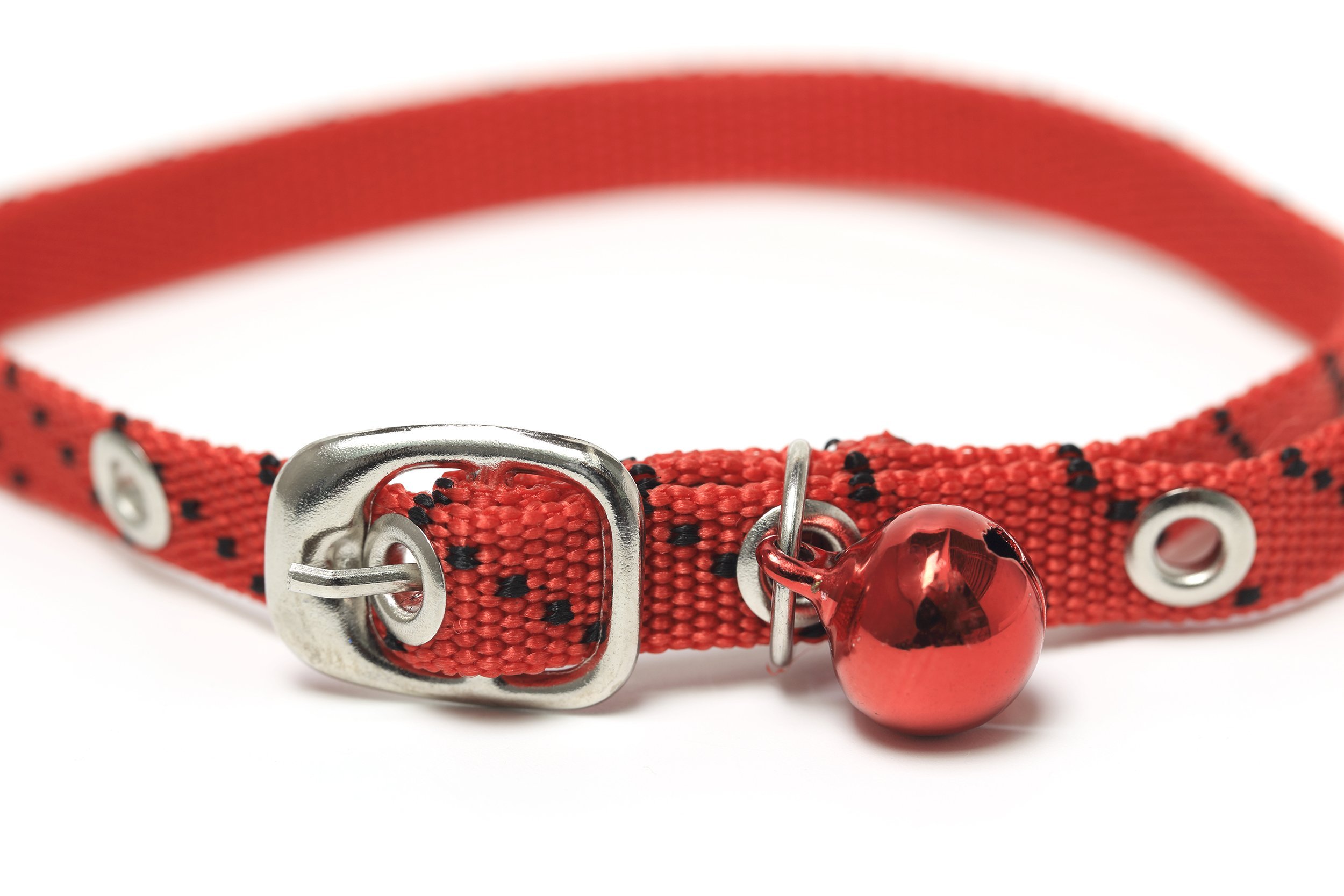 cat collar