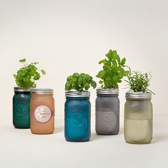 Mason Jar Indoor Herb Garden