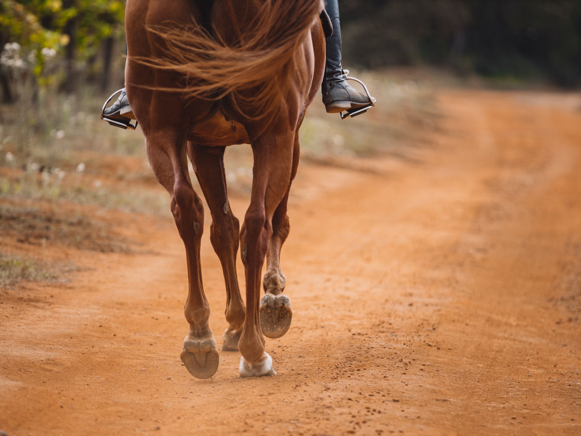 Cropped shot of a woman riding a horse on a farm