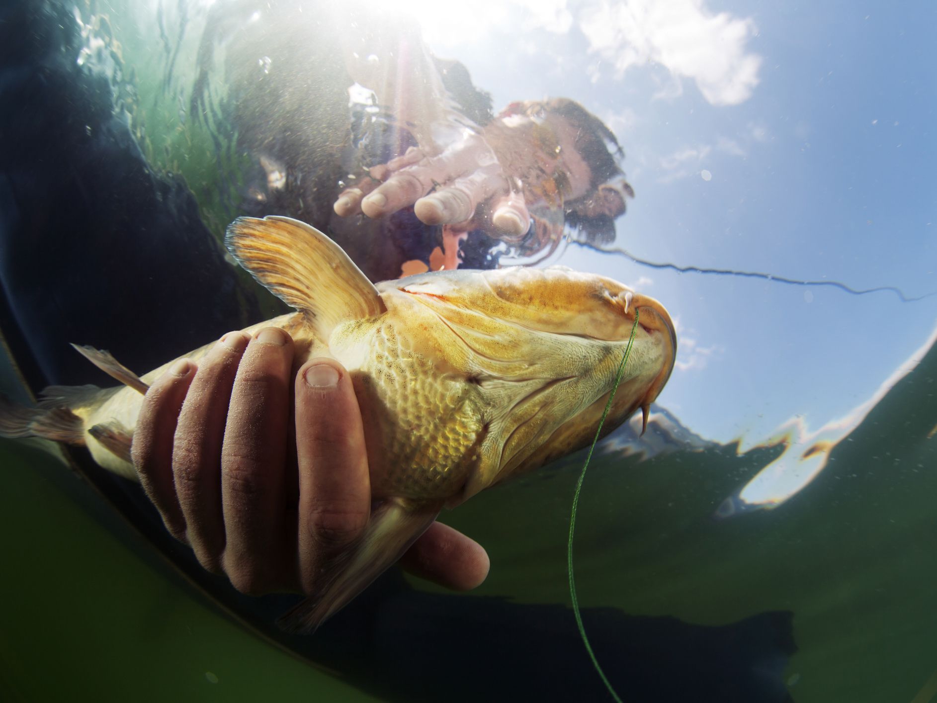 Underwater shot of the fisherman holding the fish