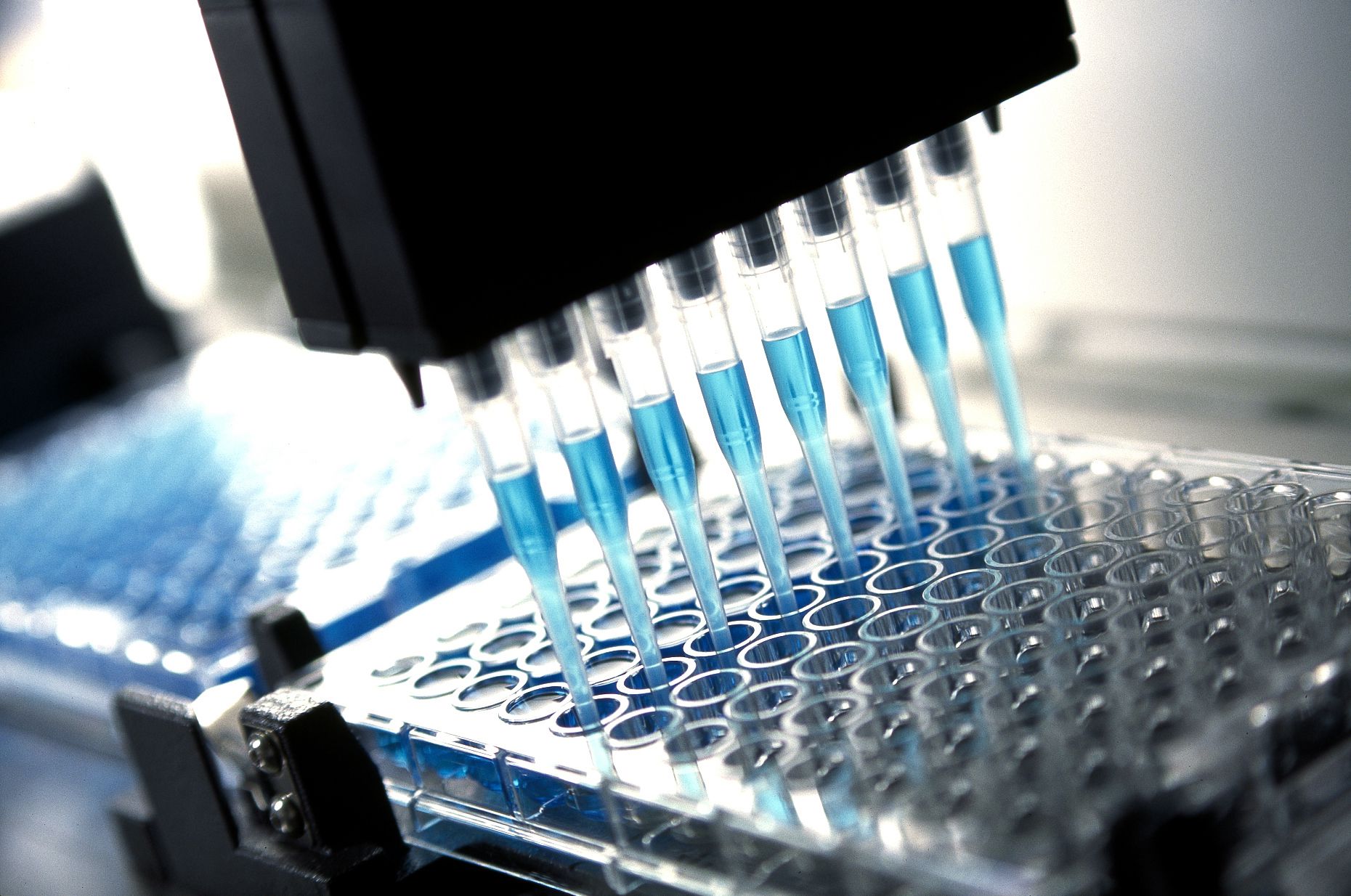 Robotic multichannel pipette device portions out blue fluid for medical and pharmaceutical research and testing