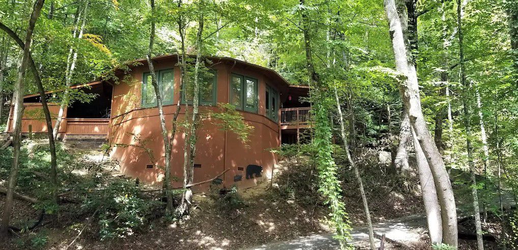 Dusty's TreeHouse