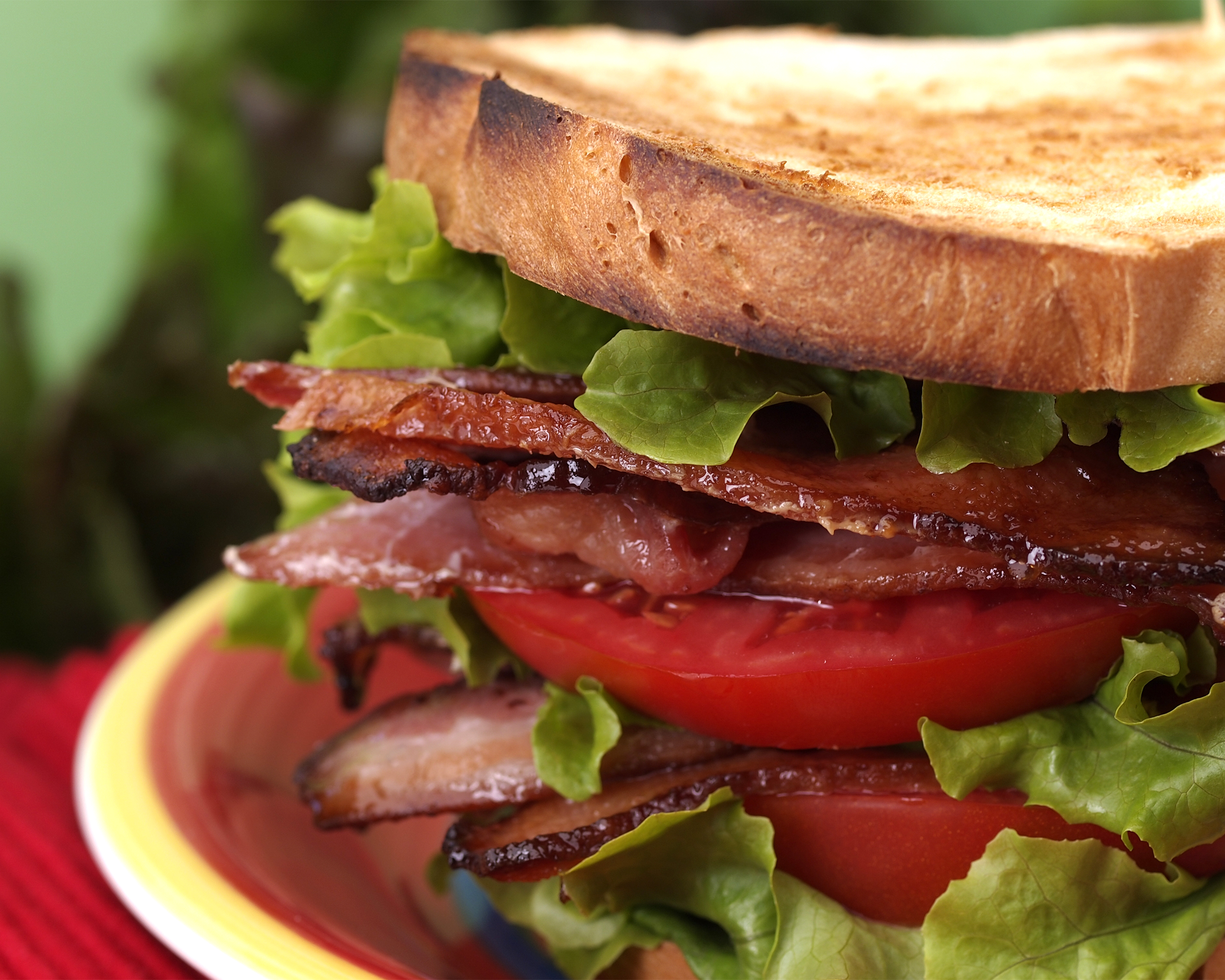 BLT sandwich