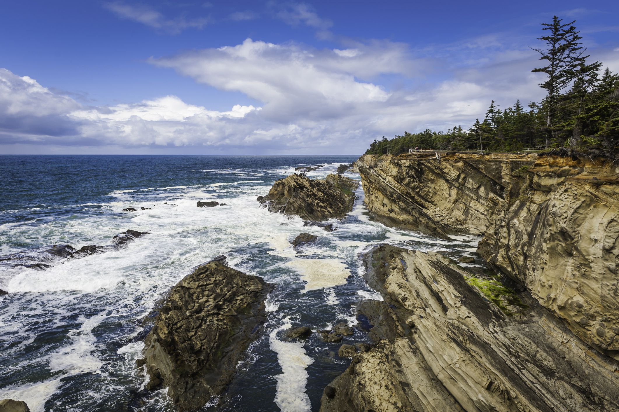 White surf crashing onto the dramatic rocky coastline of Oregon, with pine forests overlooking the blue Pacific Ocean at Cape Arago, USA. ProPhoto RGB profile for maximum color fidelity and gamut.