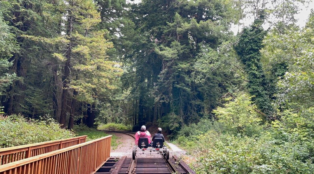 Skunk Trail