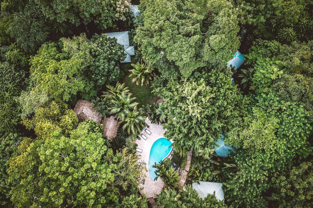 Copal Tree Lodge