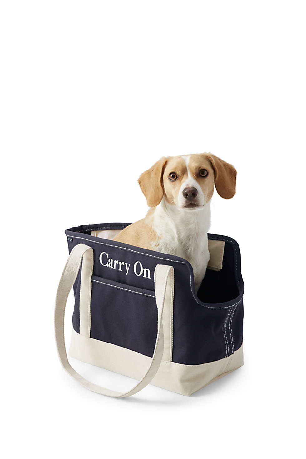 Canvas Tote Pet Carrier