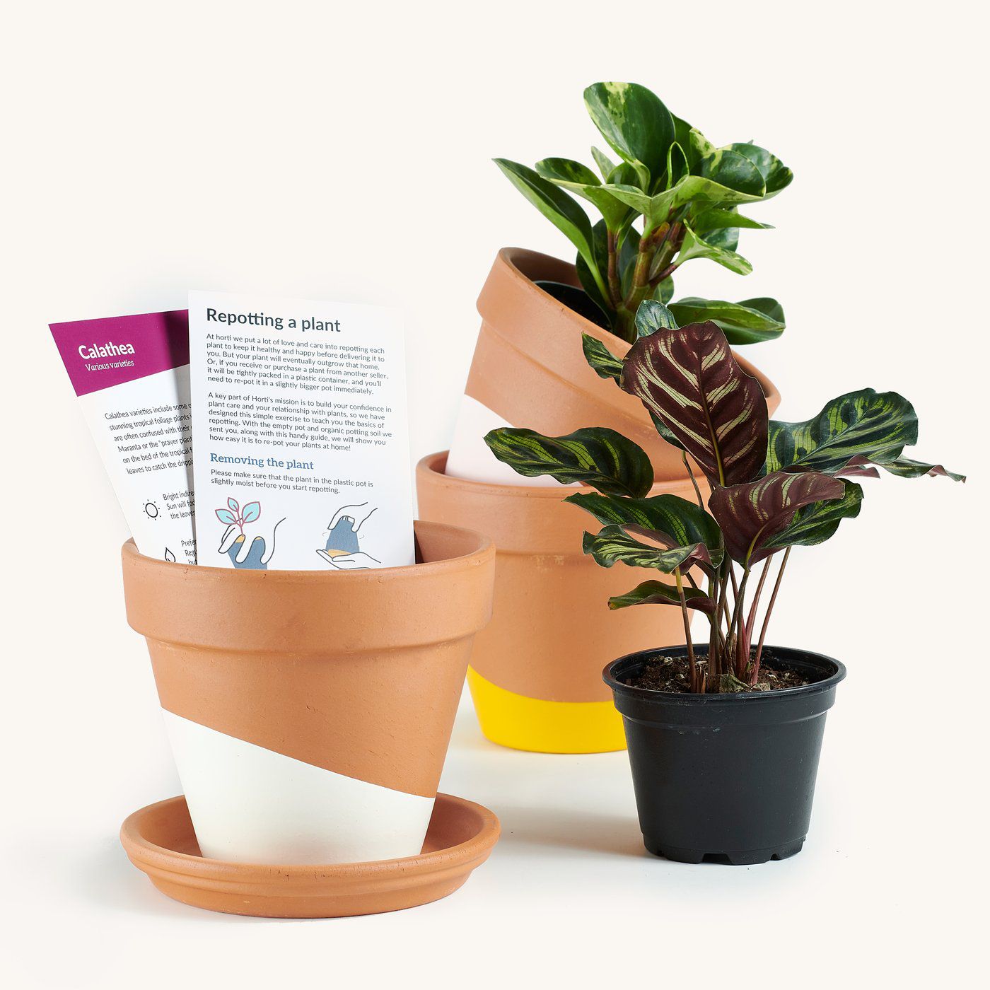 Horti | Subscription