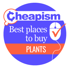 Cheapism-Best Places to Buy Plants Online