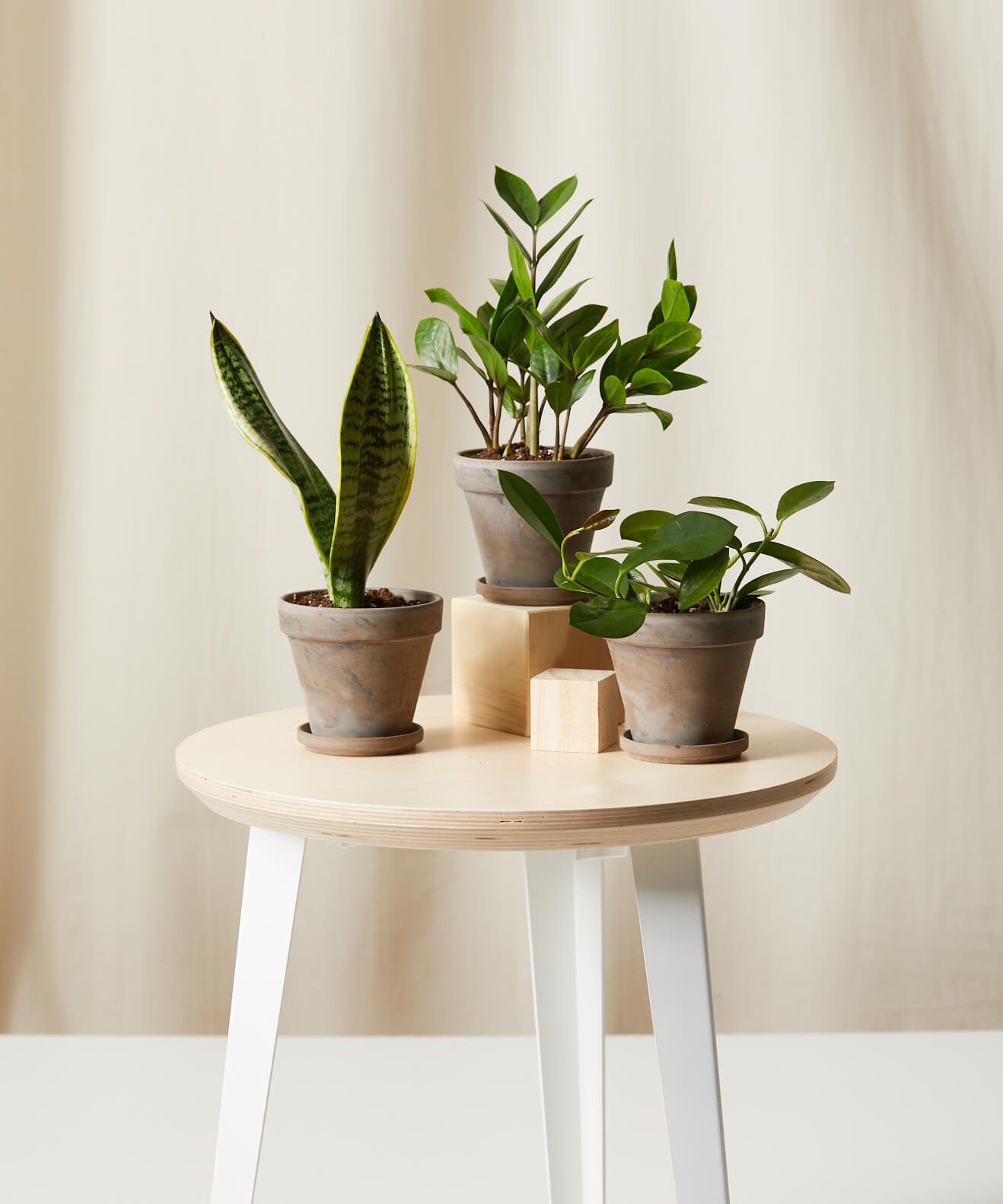 Bloomscape | Best for After-the-Fact Support