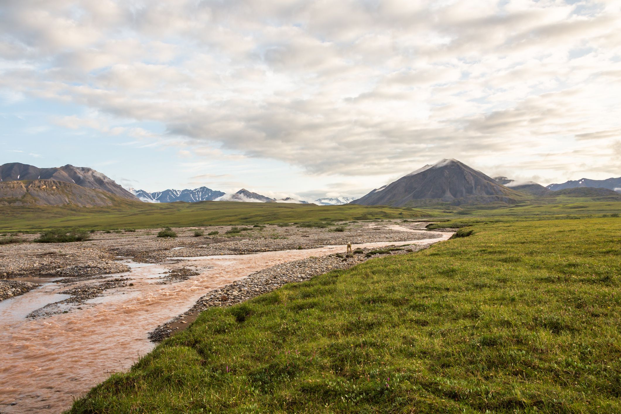 Standing alongside a storm swollen river looking across the arctic tundra with its permafrost palsas towards the remote mountains of the Gates of the arctic National Park. Galbraith Lake, Alaska.