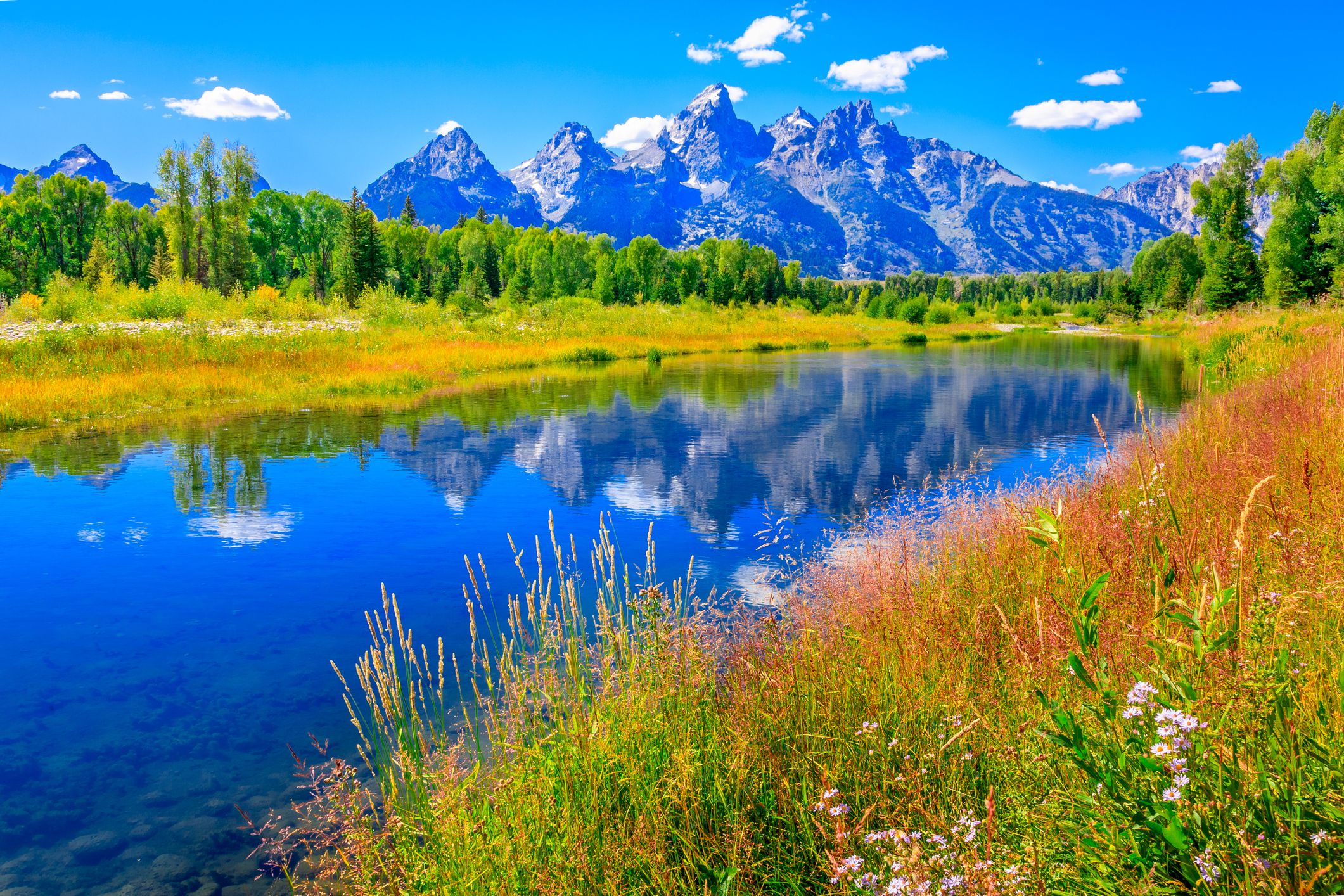 Grand Tetons and Snake River from Schwabacher Landing. Grand Teton National Park. Near Jackson Hole, Wyoming