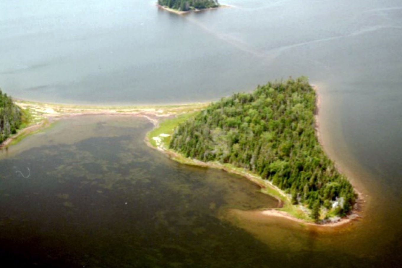 Aerial of Half Island, Canada