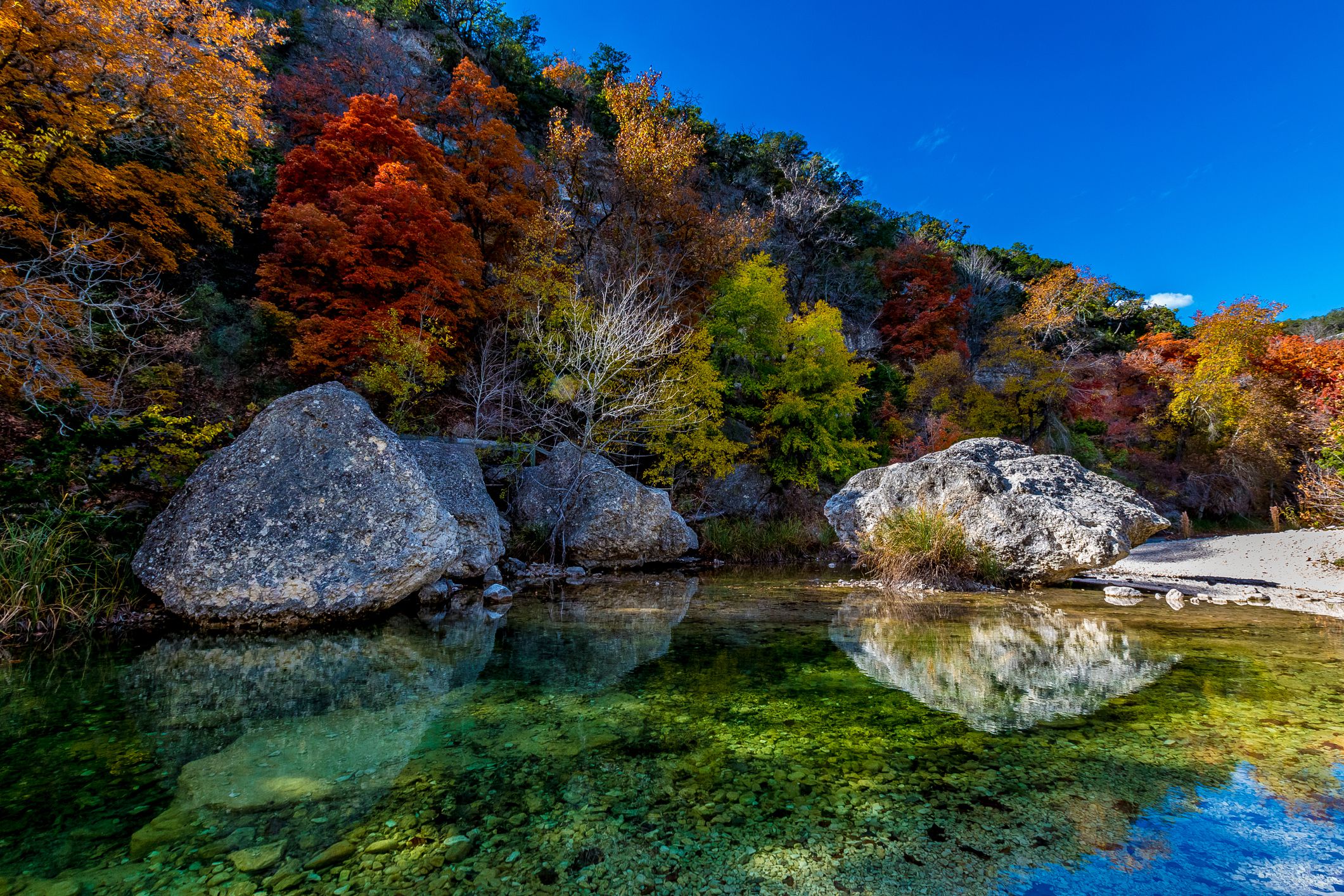 Beautiful crystal clear pool with several large boulders on the Sabinal River with amazing very bright fall foliage at Lost Maples State Park, Texas