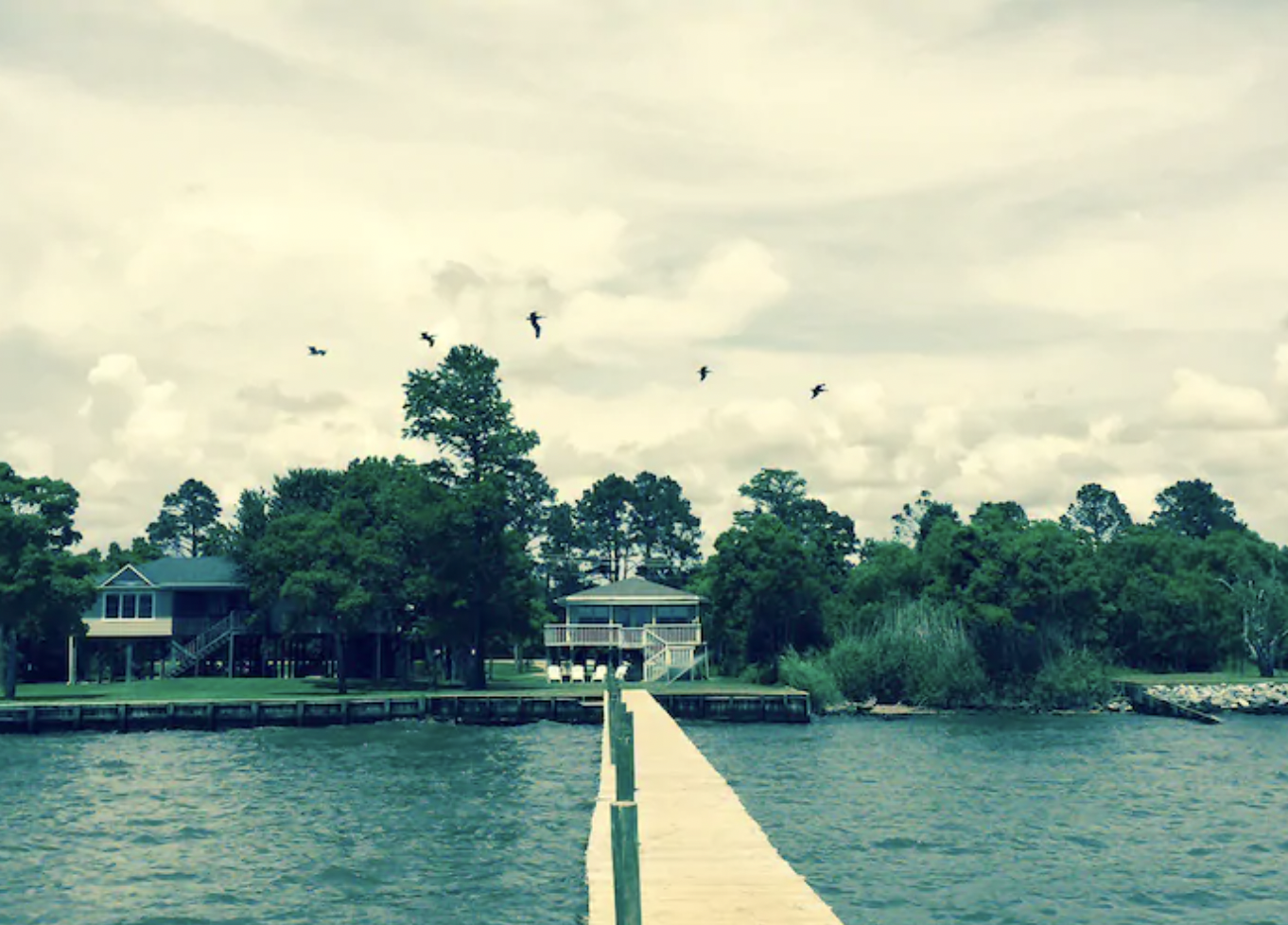 Mimosa on Mobile Bay