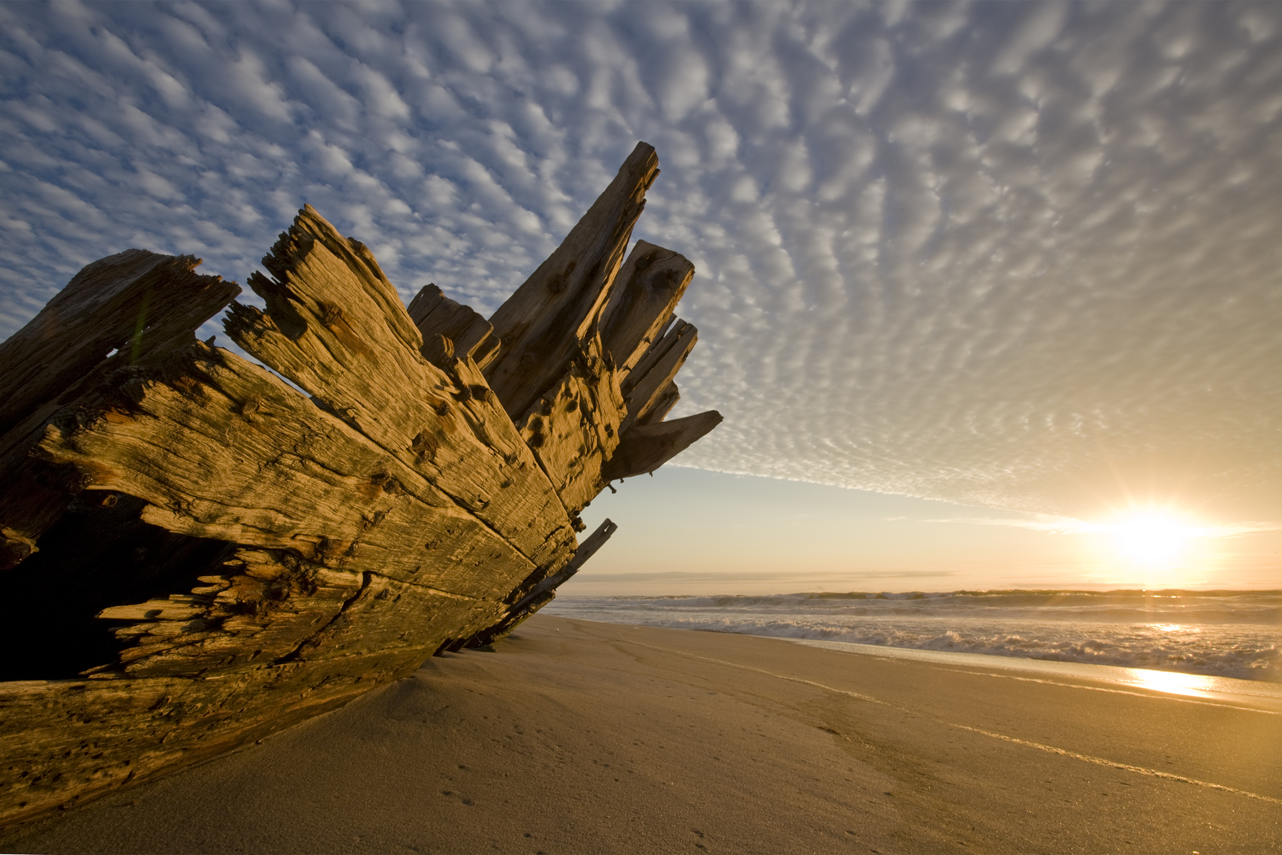 Skeleton Coast Wilderness, Namibia