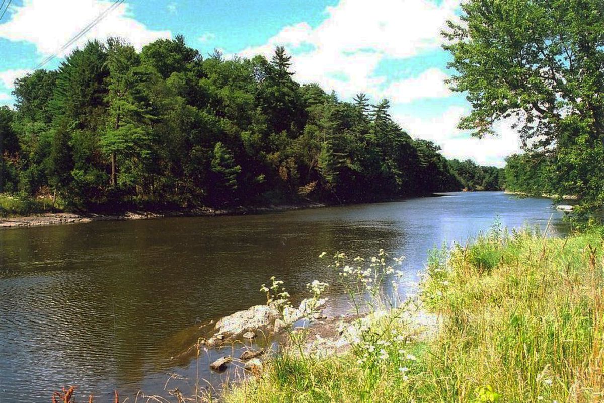 Naomi Island, United States