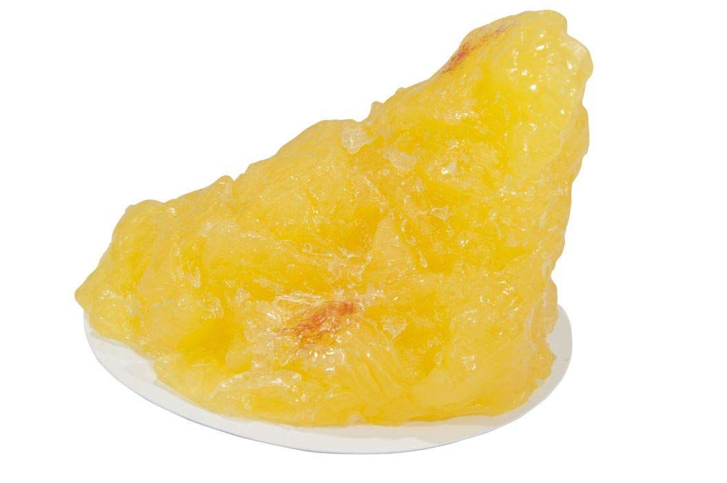 Nasco WA07173 Human Body Fat Replica with Display Base , 1 lb.