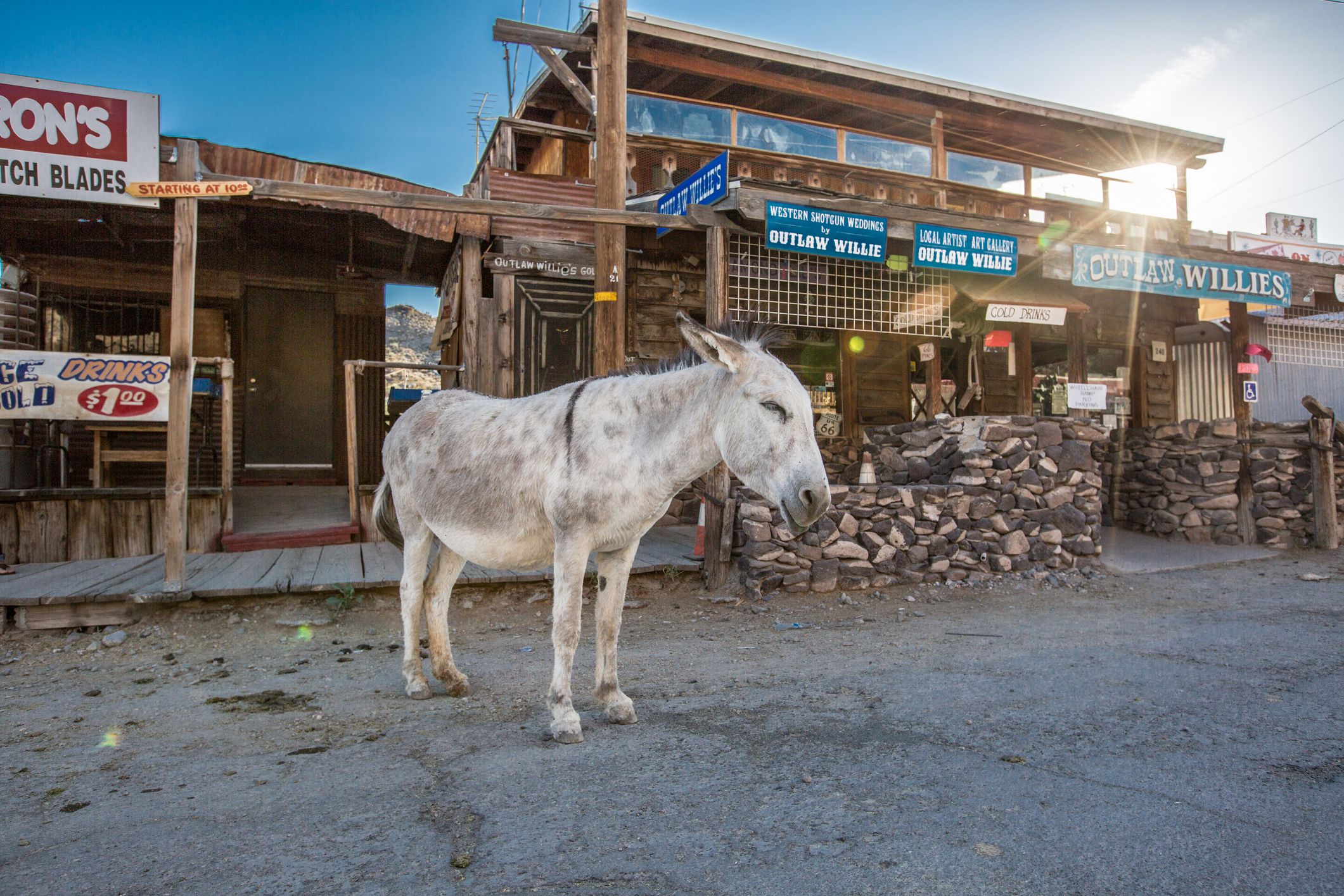 donkey in batman