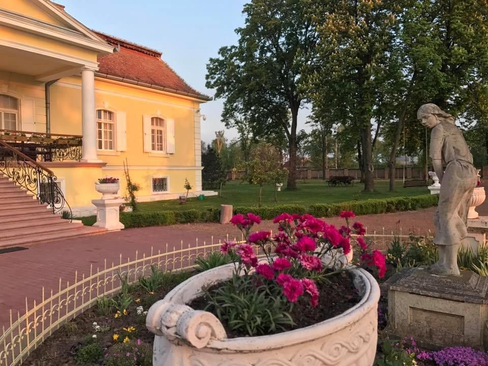 Castle Schulhoff and Winery, Serbia